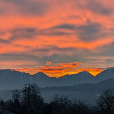 Am Eichholz Galerie & Art-Hotel Murnau am Staffelsee Ngoại thất bức ảnh